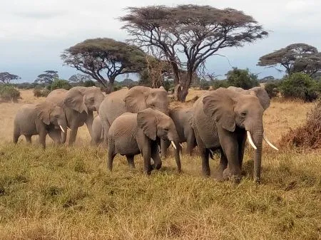 Uniek Uganda
